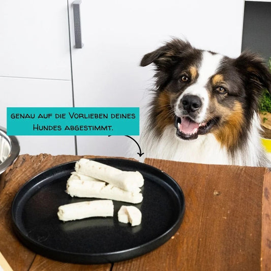 Border Collie sitzt vor einem Teller mit Hundewurst