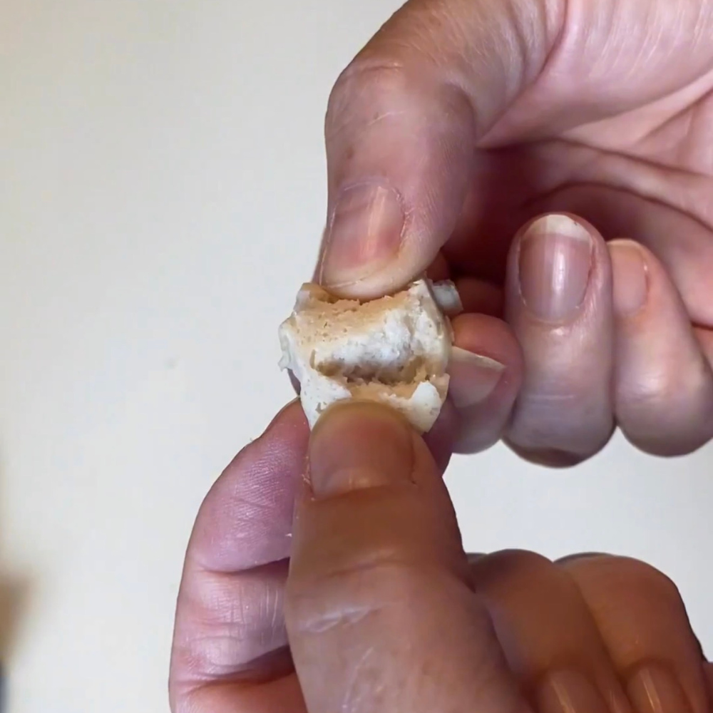 Hundewurst mit perfekter Konsistenz beim auseinanderbrechen