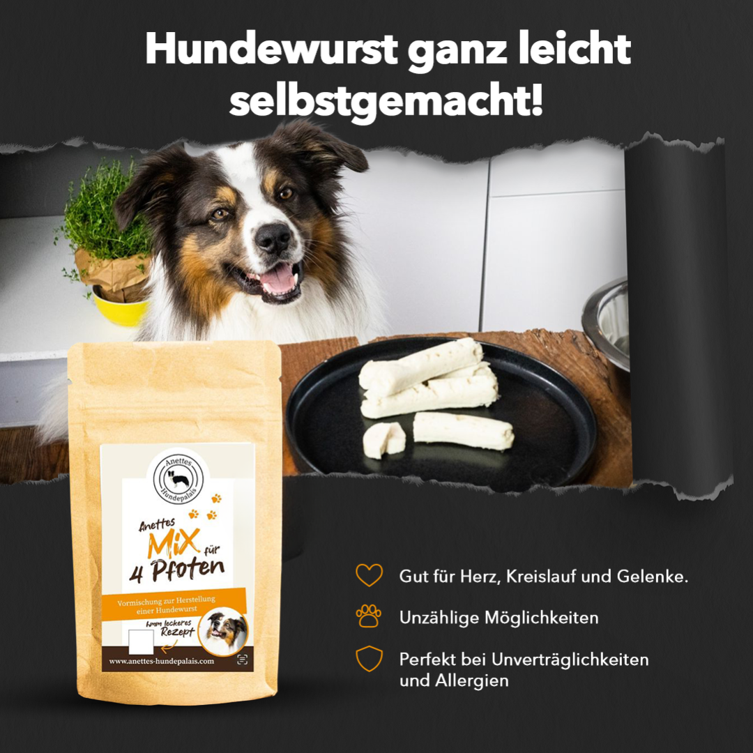 Boarder collie mit Wurst und Mischung