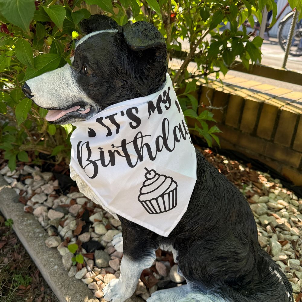 Hund mit Happy Birthday Halstuch
