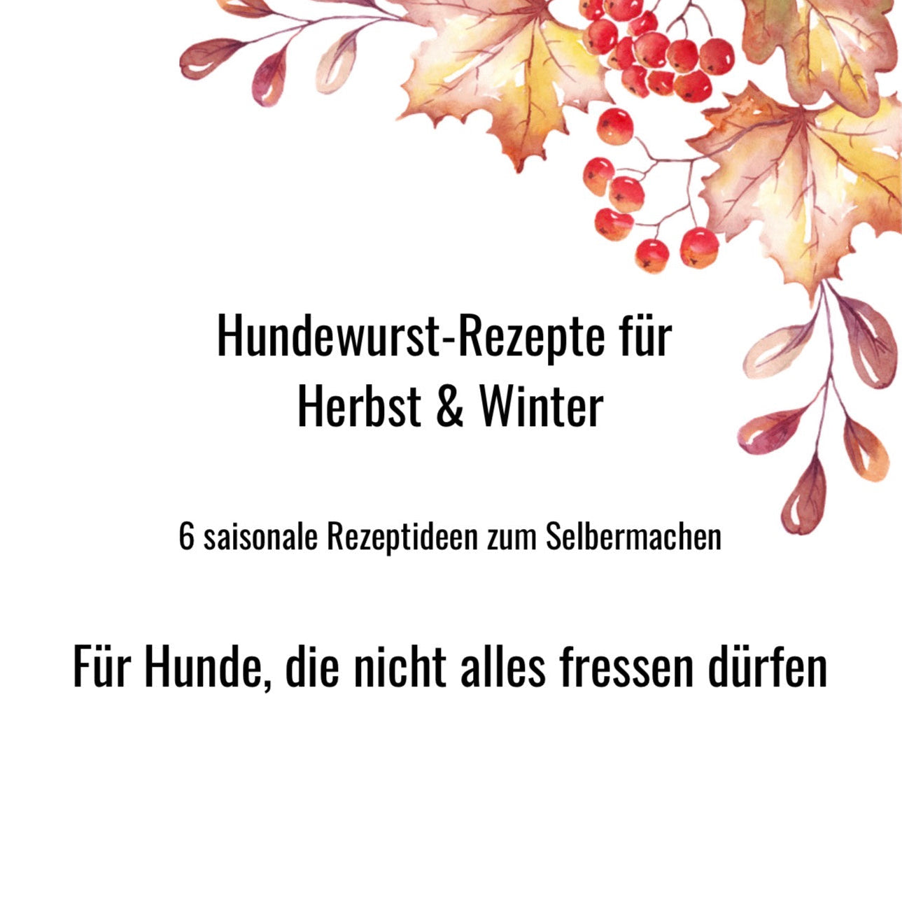 Anettes Mix für 4 Pfoten + PDF mit 6  Herbst & Winter Hundewurst Rezepten