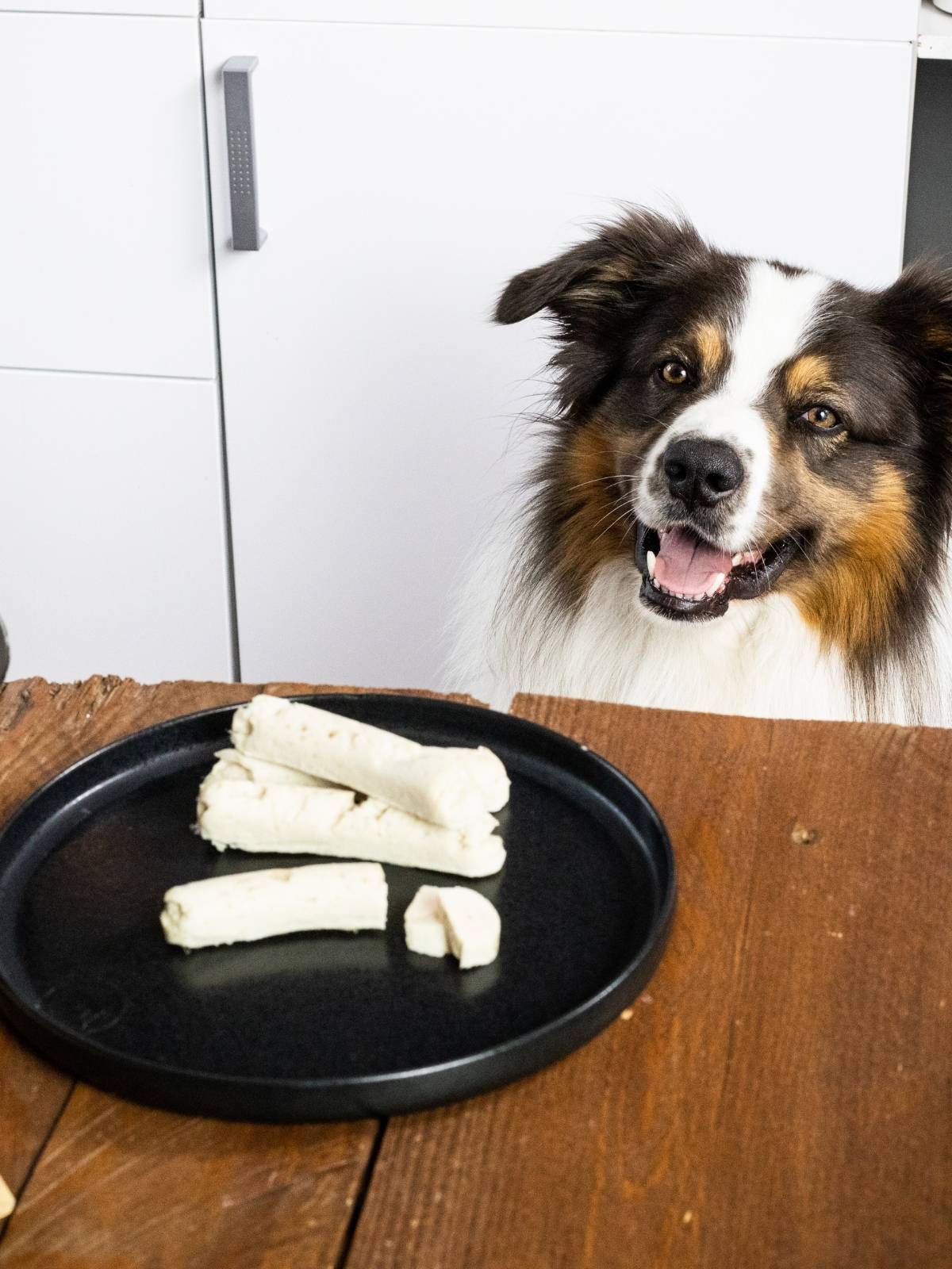 hund vor einem Teller mit Hundewurst