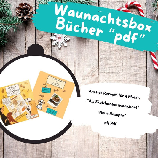 Waunachtsbox Buecher pdf