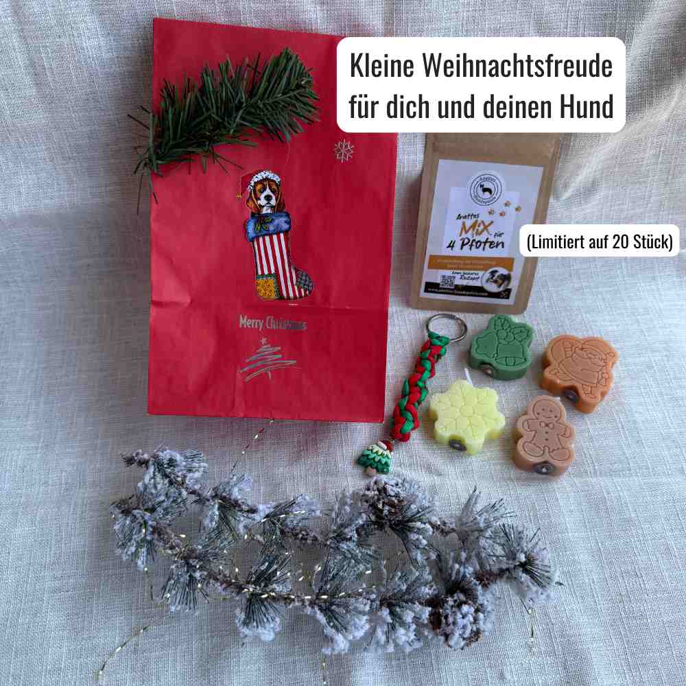 🎄 Weihnachten für dich und deinen Hund  - kleine Überraschungstüte 🐾