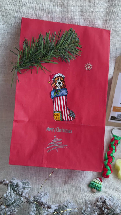 🎄 Weihnachten für dich und deinen Hund  - kleine Überraschungstüte 🐾