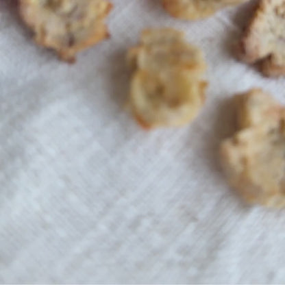 Weihnachts-Backmatte für Hunde Leckerli – inklusive 3 Rezepten 🎄🐾