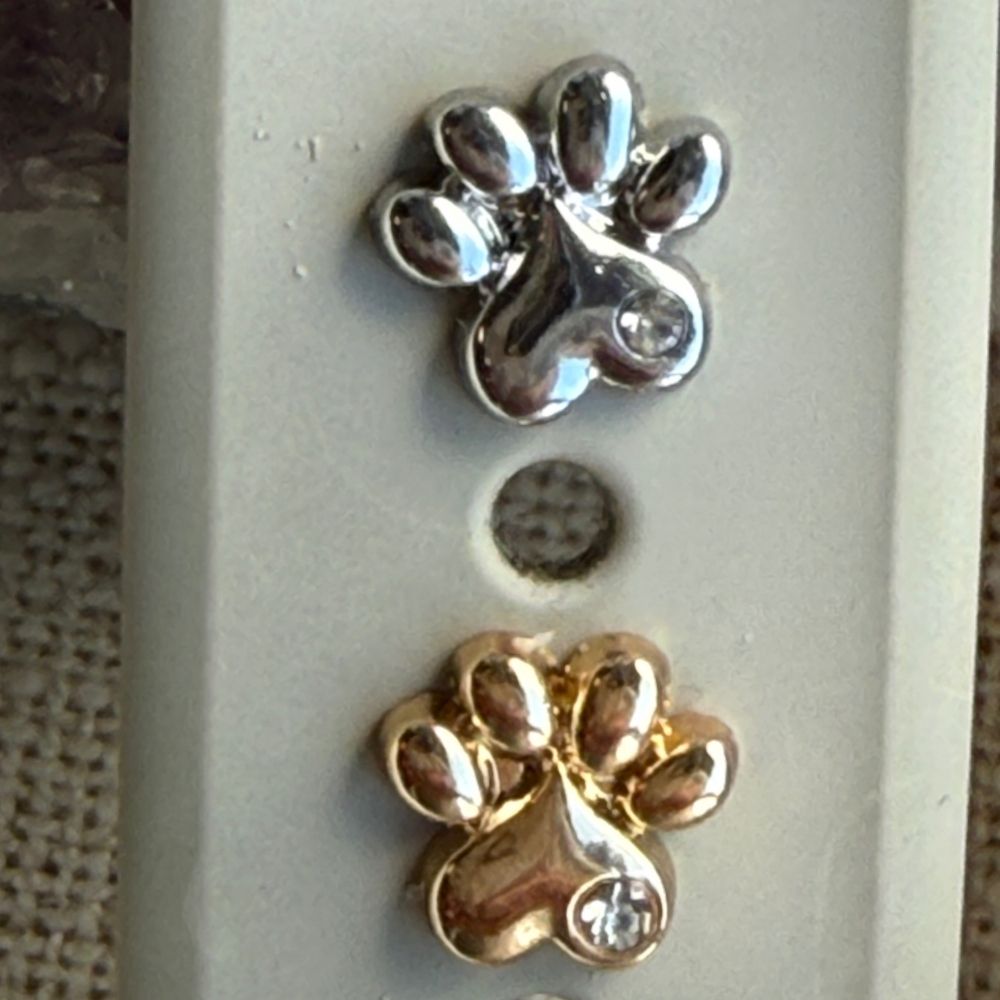 Apple Watch Pfoten Stecker – Silber oder Gold