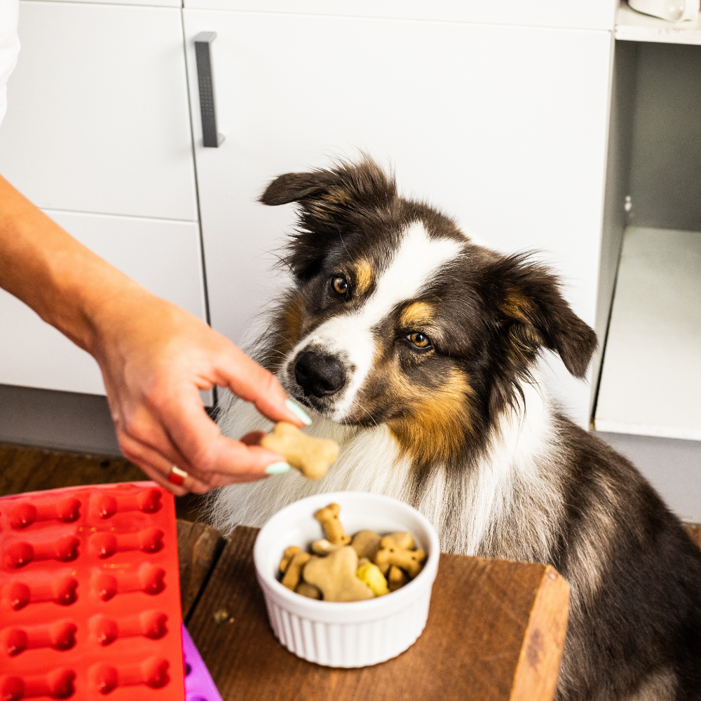 Anettes Hundepalais Hundewurst Leckerli Anettes Mix fuer 4 Pfoten Anettes Rezepte fuer 4 Pfoten